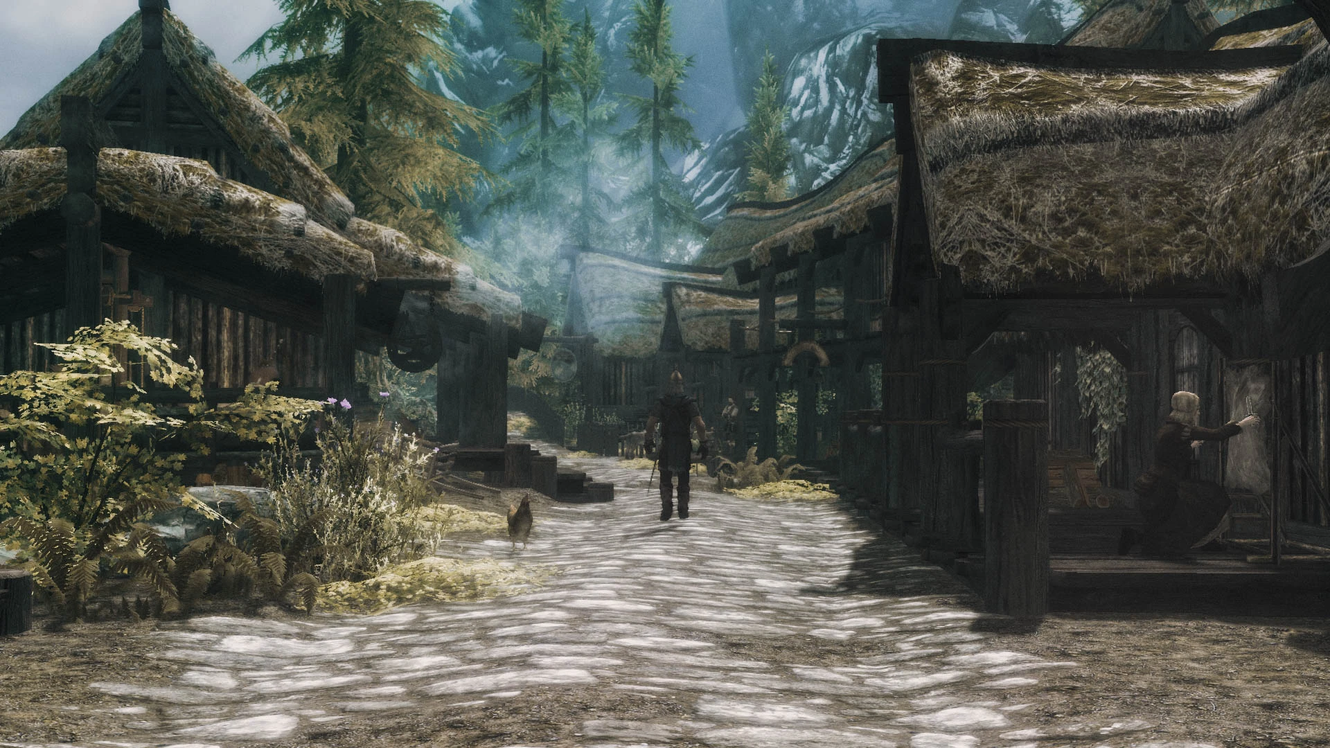 Skyrim RP dünyasına ait görsel